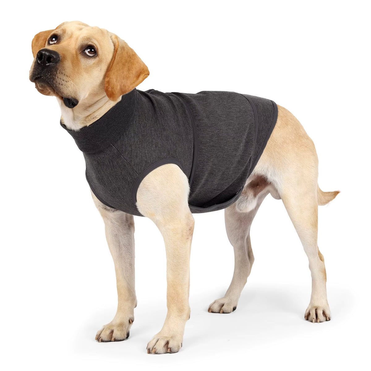 Anxiety Relief Vest for Dogs Calming Clothing for Dogs Cats Calming Wrap Pet Clothes Pacify Emotion Custom Logo Factory