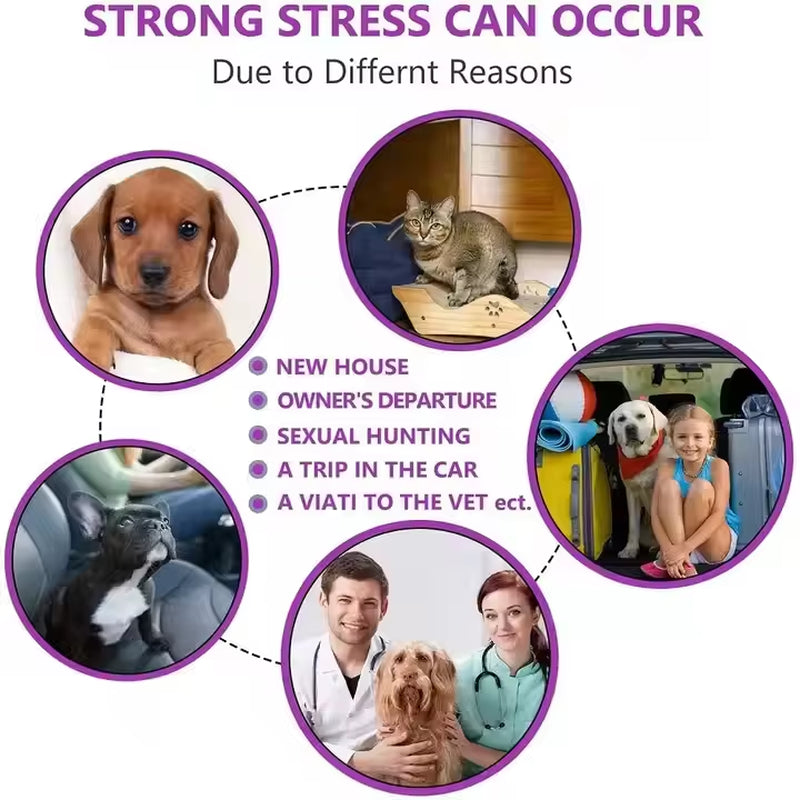 Wholesale Hot Sale Adjustable Pet Pheromone Calming Collar for Cats Dogs Solid Color OEM Label Anxiety Reduction Collar