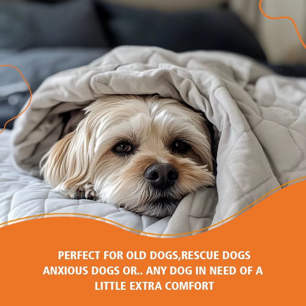 Top Quality Sensory Blanket with Glass Beads Small Weighted Blanket for Dogs Pets