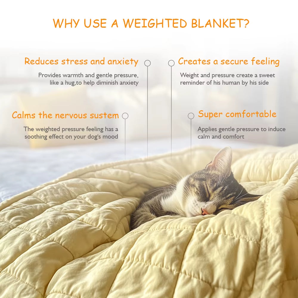 Top Quality Sensory Blanket with Glass Beads Small Weighted Blanket for Dogs Pets